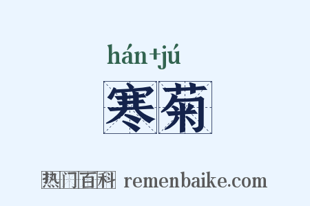 寒菊是什么意思的图片